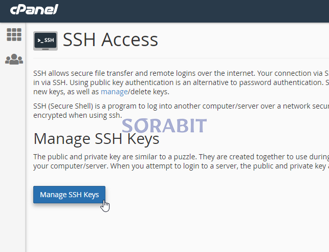 Cara Menggunakan SSH di cPanel 13